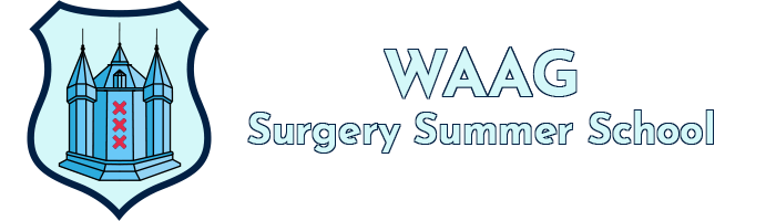 Waag Surgery Summer School